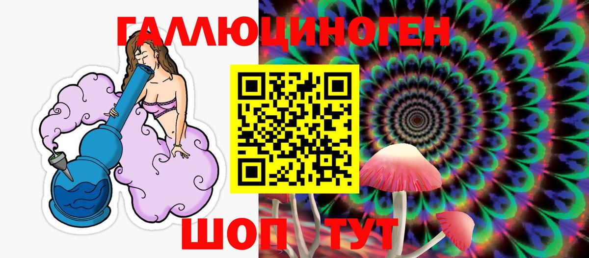 Искитим  где можно купить наркотик  Вход с VPN  Галлюциногенные грибы мицелий 
